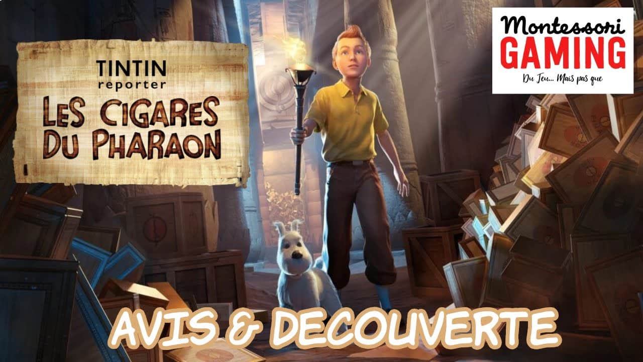 découvrez l'univers captivant de tintin à travers ses aventures fascinantes. explorez des histoires palpitantes, des personnages mémorables et des destinations exotiques qui transporteront petits et grands dans un monde d'aventure et de mystère.