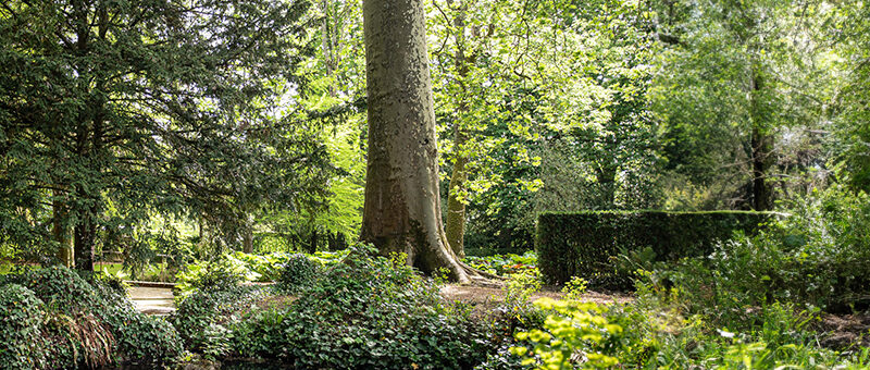 découvrez les trésors littéraires de l'eure-et-loir, une région riche en histoires et en auteurs fascinants. plongez dans un voyage culturel à travers les pages des œuvres locales et explorez le patrimoine littéraire de cette belle région.