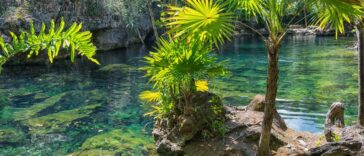 découvrez un véritable paradis sur terre où la beauté naturelle, la tranquillité et l'harmonie se rencontrent. explorez des paysages à couper le souffle, des plages de rêve et une culture vibrante. plongez dans l'expérience unique d'un lieu où chaque instant est un voyage vers la sérénité.