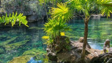 découvrez un véritable paradis sur terre où la beauté naturelle, la tranquillité et l'harmonie se rencontrent. explorez des paysages à couper le souffle, des plages de rêve et une culture vibrante. plongez dans l'expérience unique d'un lieu où chaque instant est un voyage vers la sérénité.