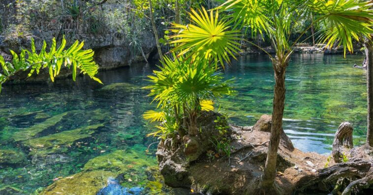 découvrez un véritable paradis sur terre où la beauté naturelle, la tranquillité et l'harmonie se rencontrent. explorez des paysages à couper le souffle, des plages de rêve et une culture vibrante. plongez dans l'expérience unique d'un lieu où chaque instant est un voyage vers la sérénité.