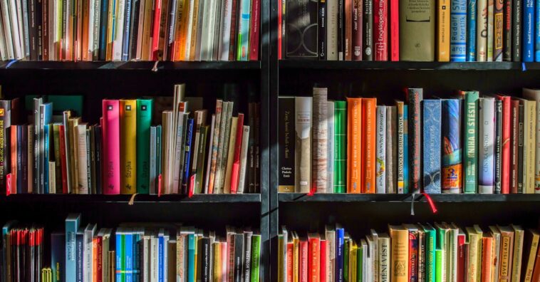 découvrez notre bibliothèque virtuelle, un espace dédié à la lecture, à l'apprentissage et à la culture. accédez à une vaste sélection de livres, d'articles et de ressources en ligne pour enrichir vos connaissances et éveiller votre curiosité.