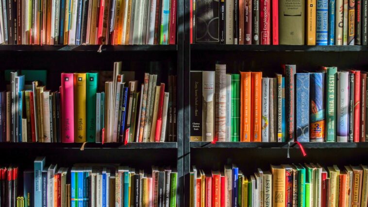découvrez notre bibliothèque virtuelle, un espace dédié à la lecture, à l'apprentissage et à la culture. accédez à une vaste sélection de livres, d'articles et de ressources en ligne pour enrichir vos connaissances et éveiller votre curiosité.